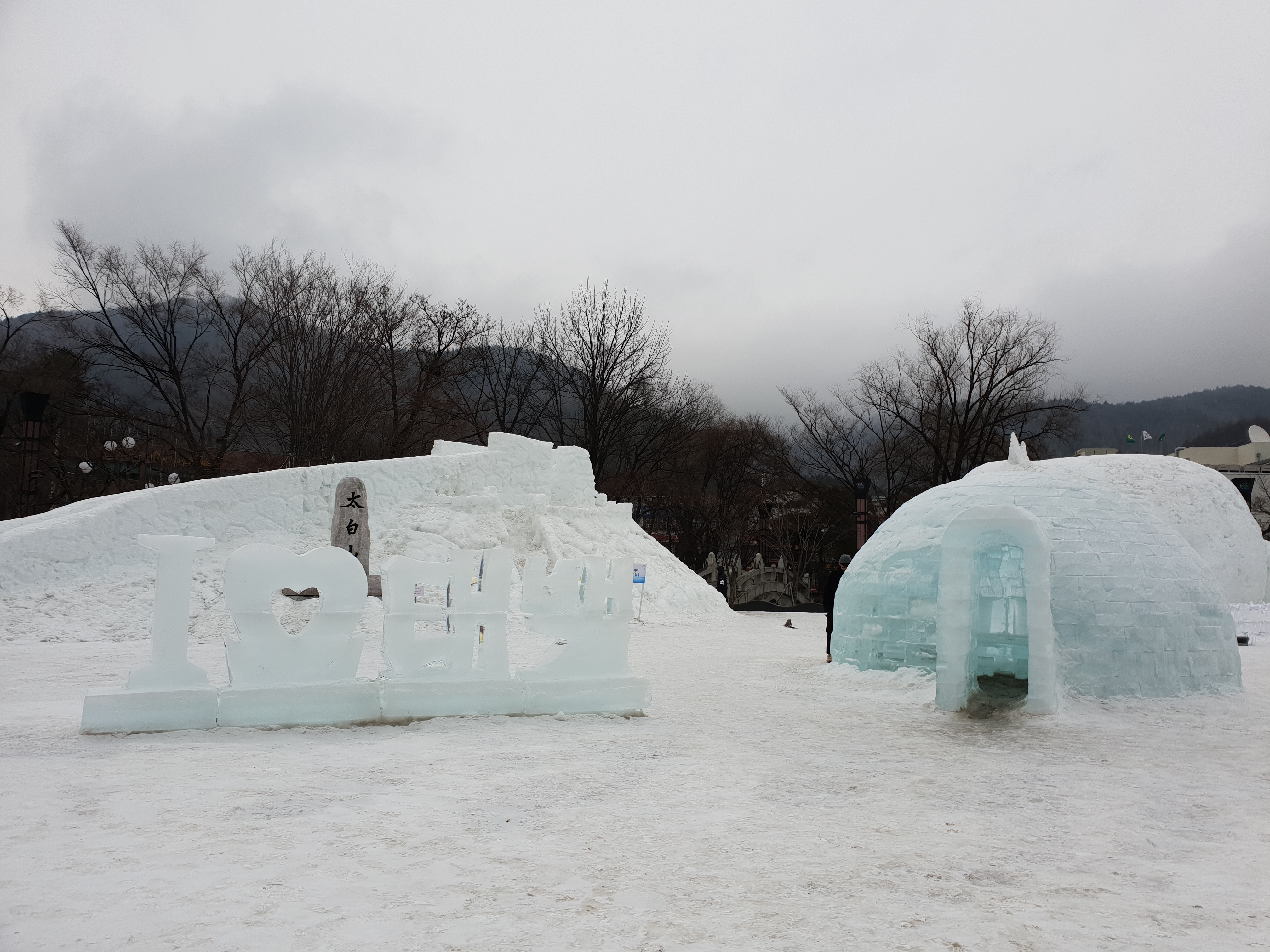본문이미지